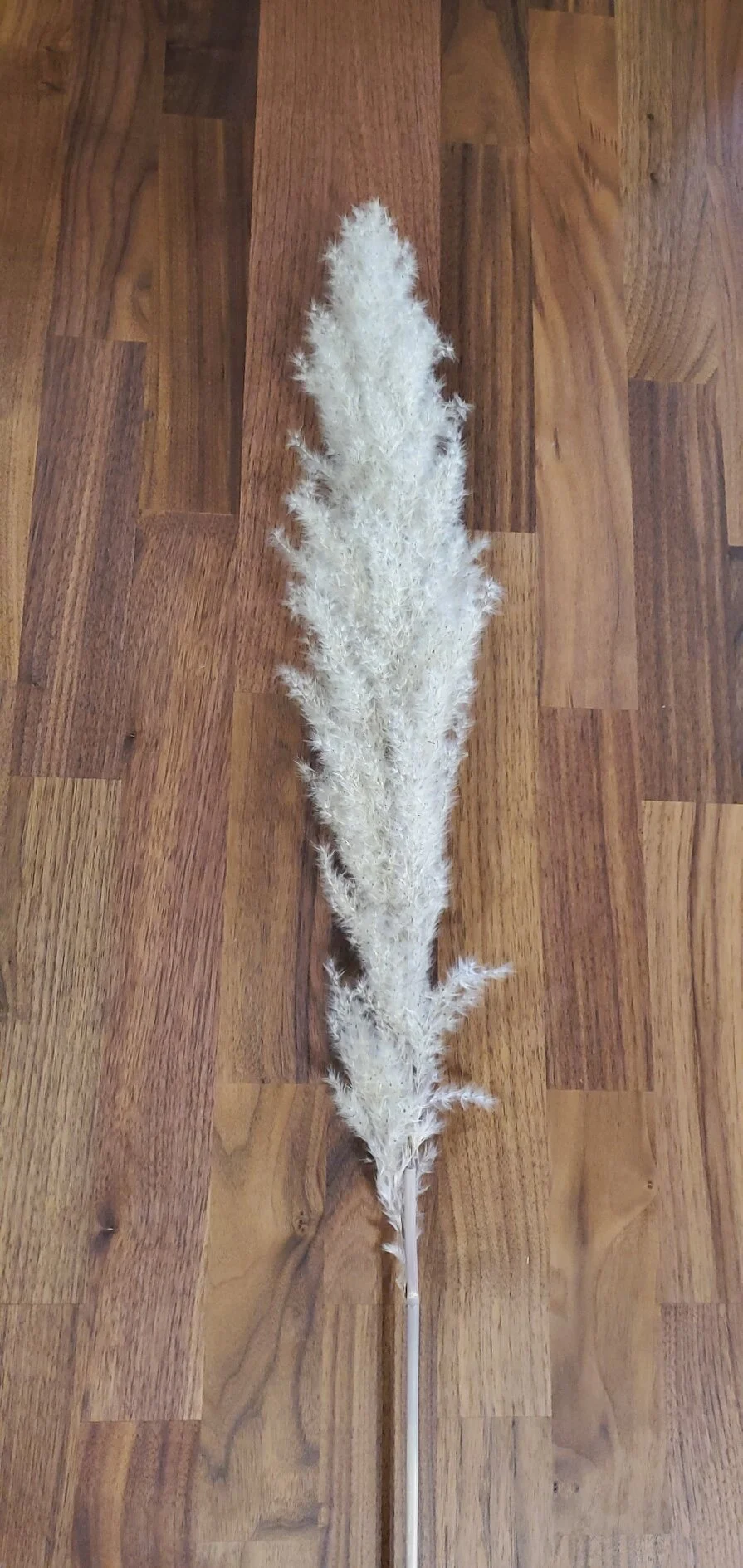 EB7CED94-F0BA-4898-B9A9-5AD6C67B19CB