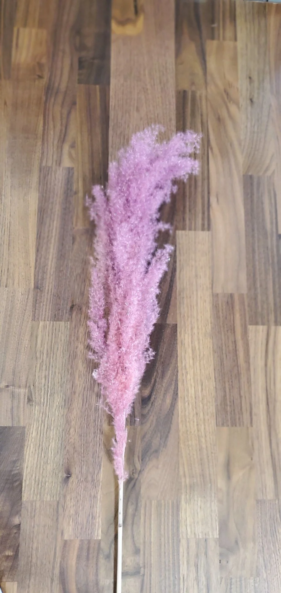 DB979419-E44C-478A-95BD-17A887E62B79