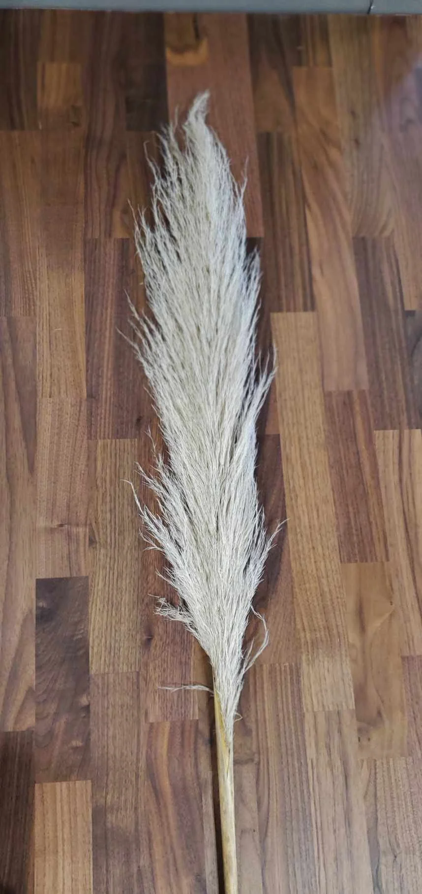 1434AF81-CF58-4D60-8200-D1FB915DA710