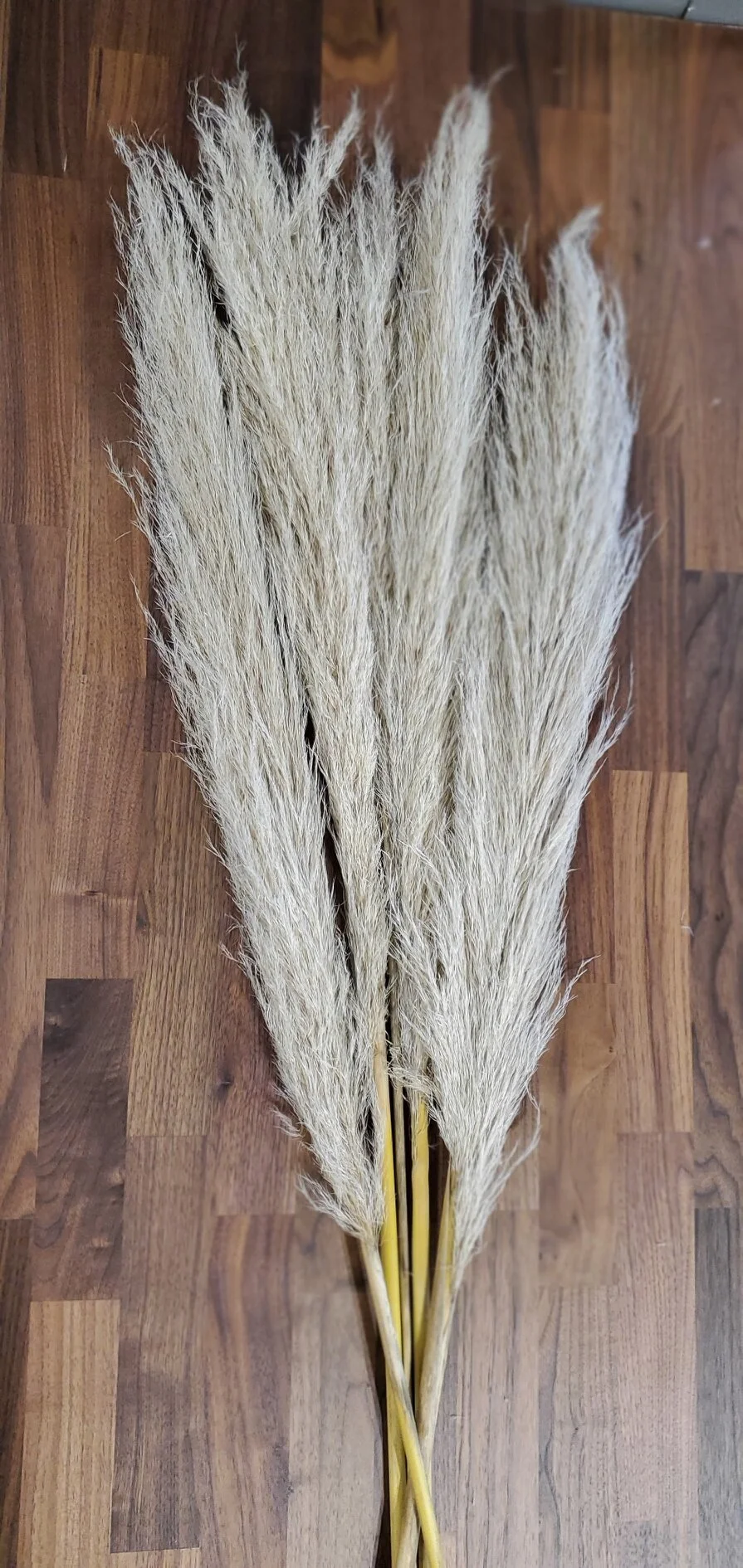 2C363486-3F25-4F8D-AC56-3D67140FCDD1