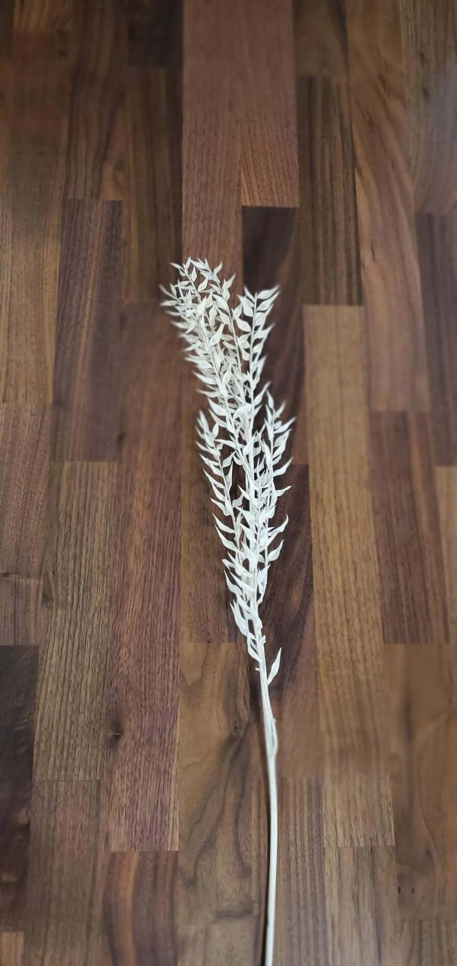 D53F8139-52CE-422B-9872-2CB3723D61C3