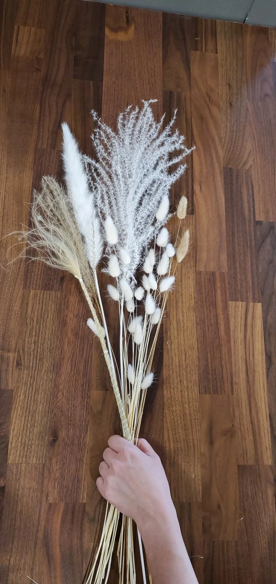 A6A2FE25-B9FD-432C-860F-01BE55FA3BAE