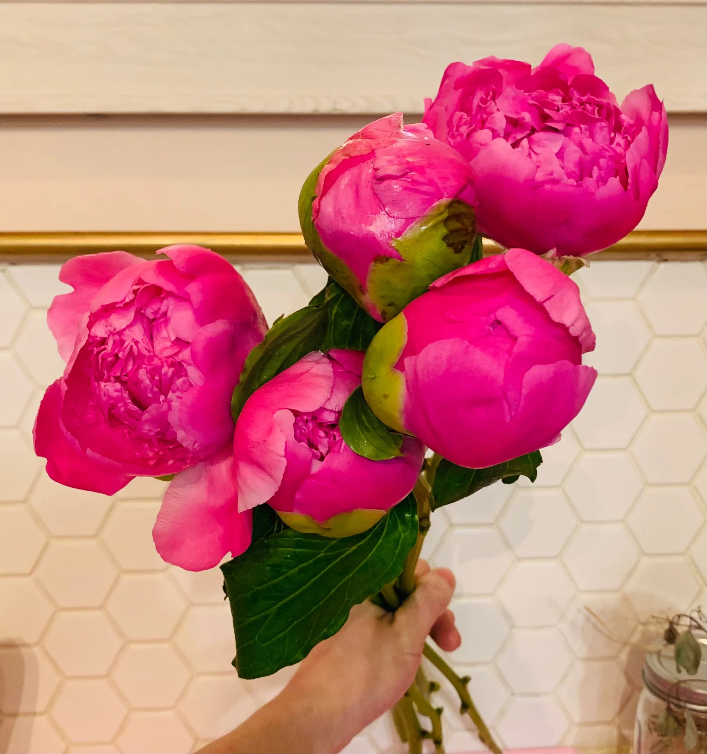 3D0B722C-4DE5-41FE-86A5-59C5E10371B3