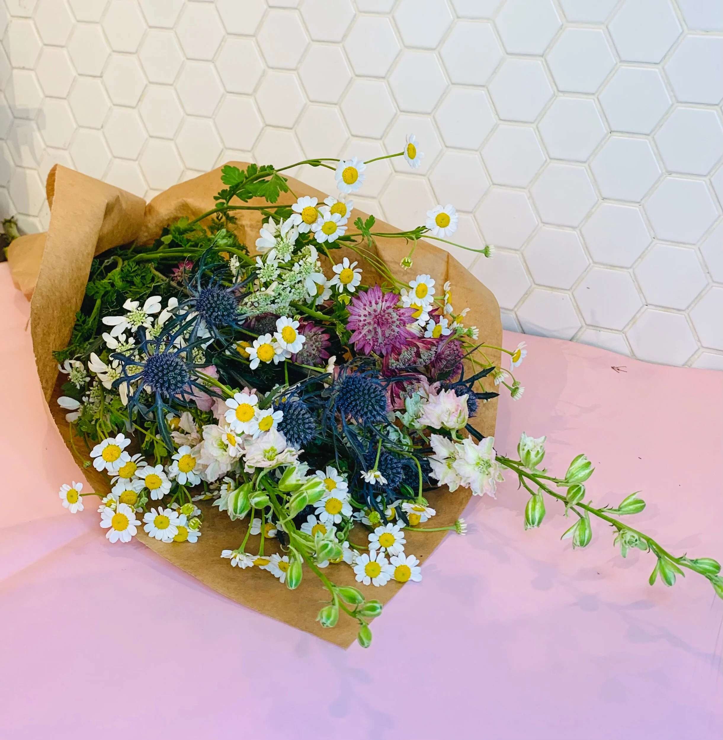 3B4F1DEC-9F29-417E-9CB2-EDCD649C7C19