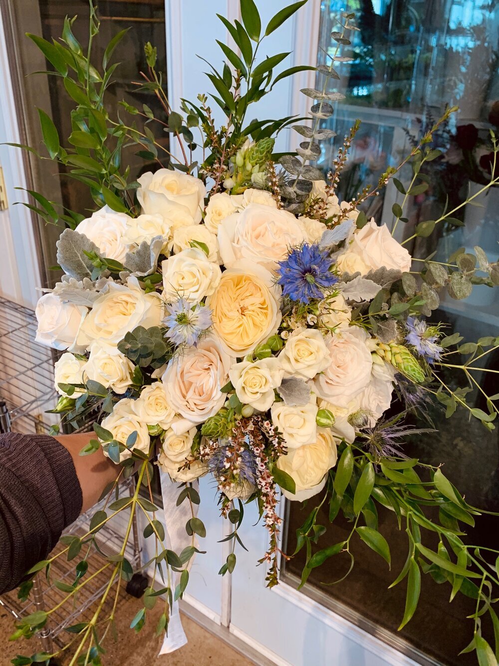 Nigella Garden Rose.jpg