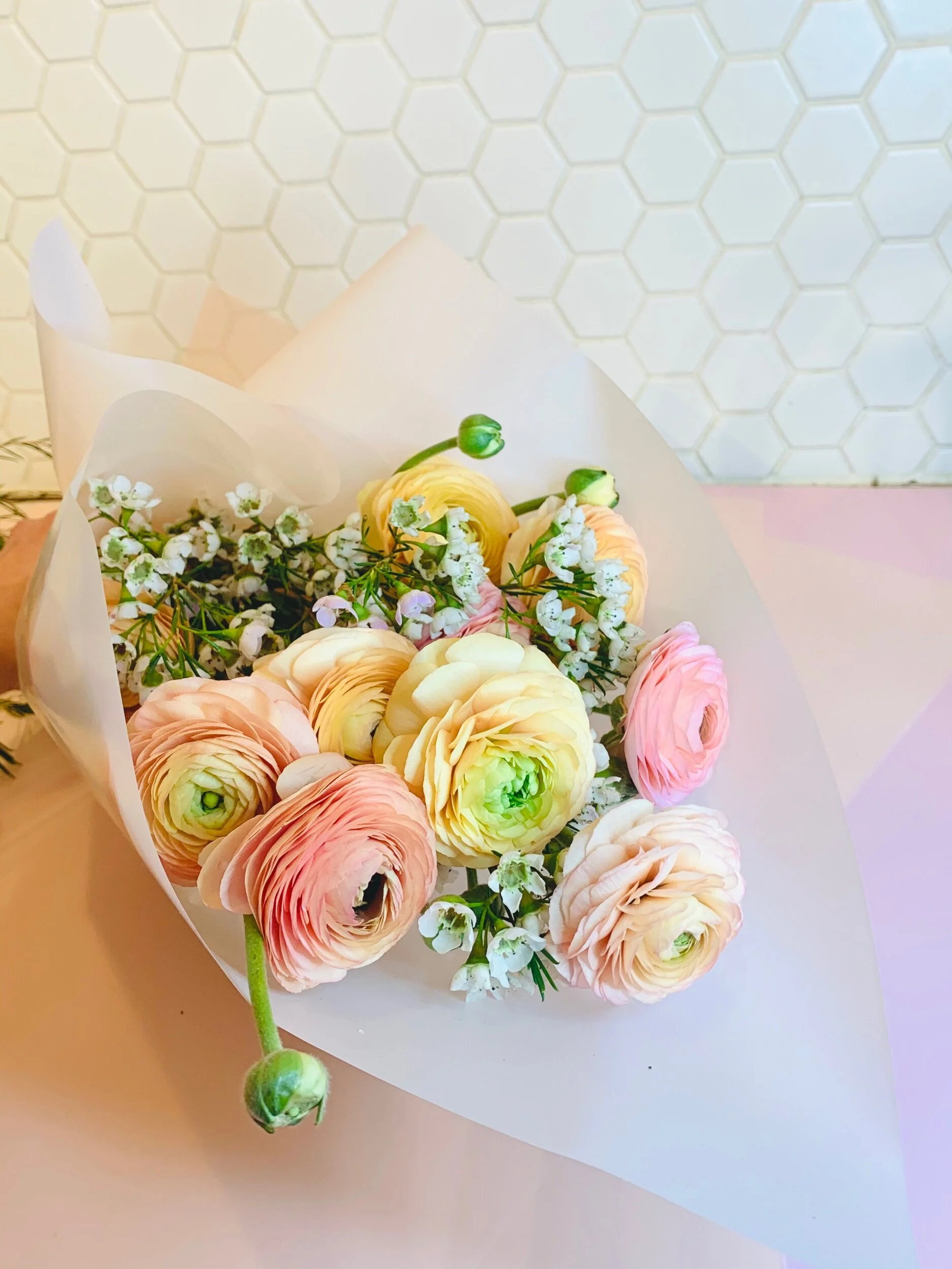 BB6C6E24-3BA1-43E2-B019-5006DD892B34