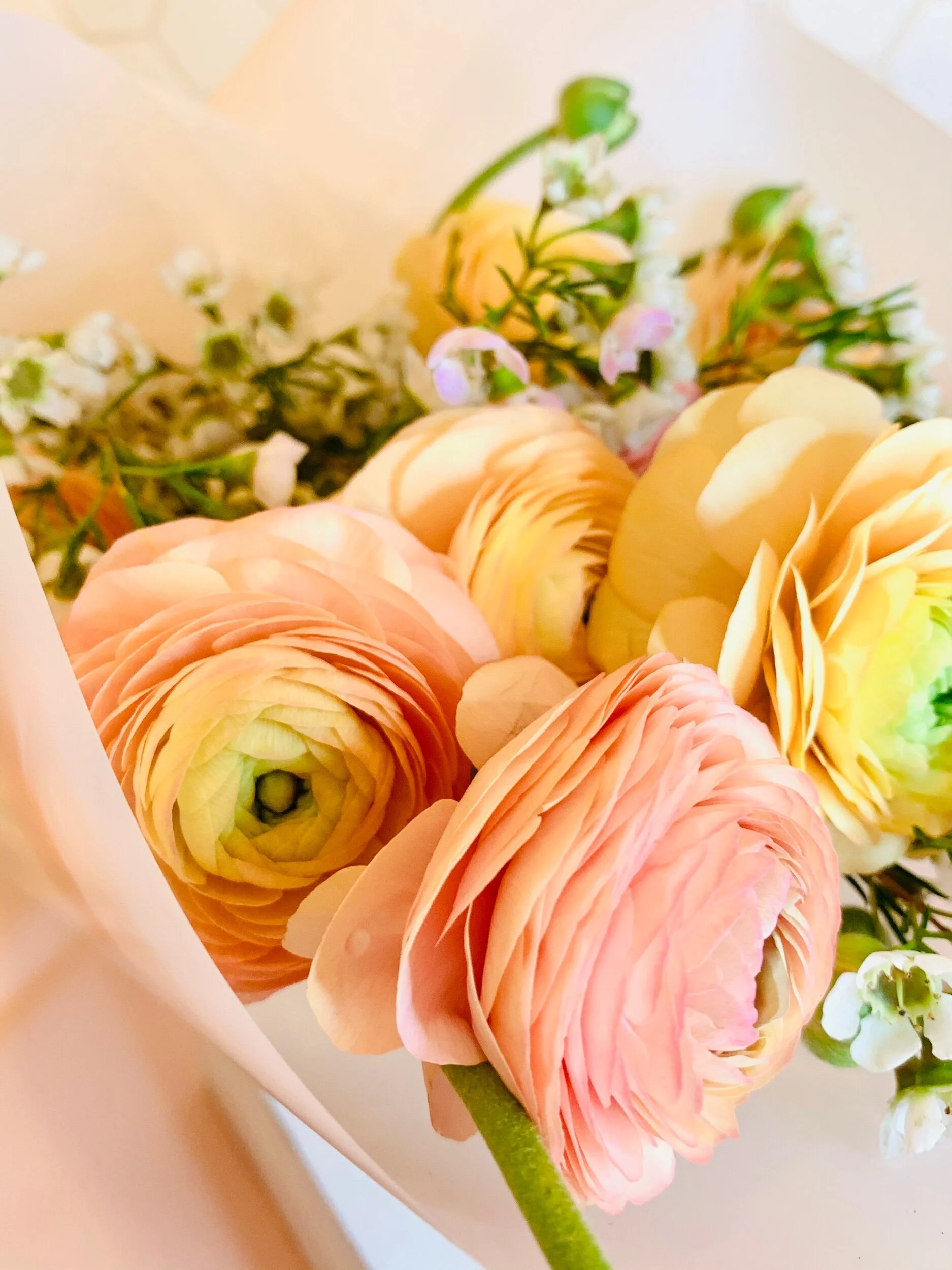 3AF6D840-E760-4546-8E2B-452DAEE22351