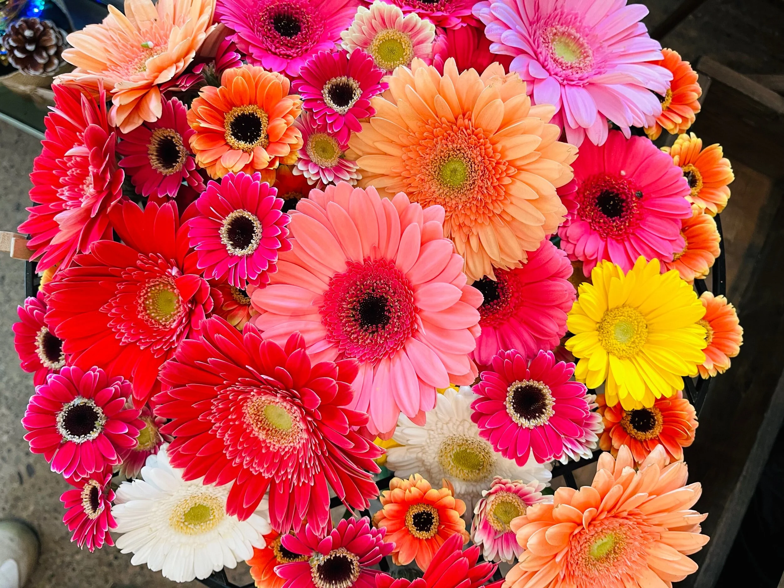 3C27208D-C4C3-48C6-B5AC-6E42B878FCD1