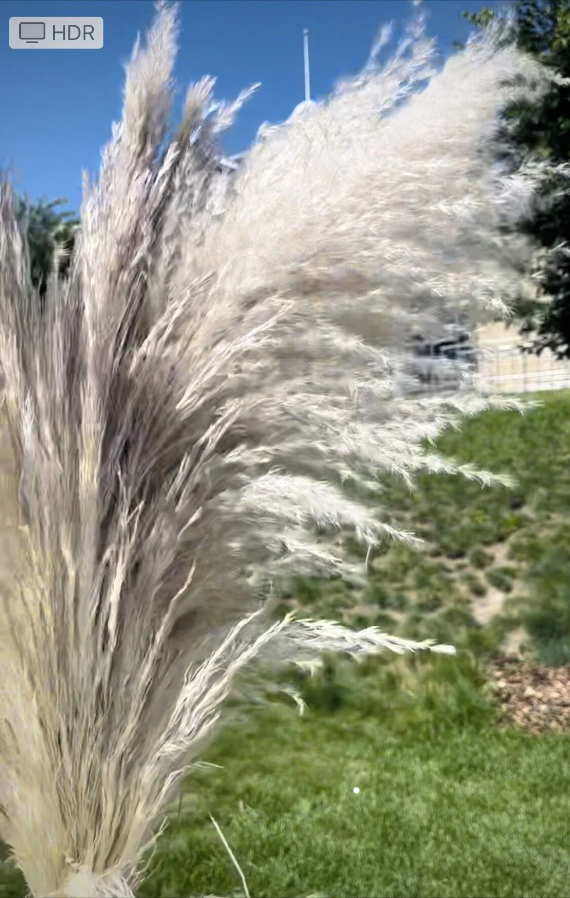 D0C46DAB-BD70-4278-9876-D94EB9C1C407