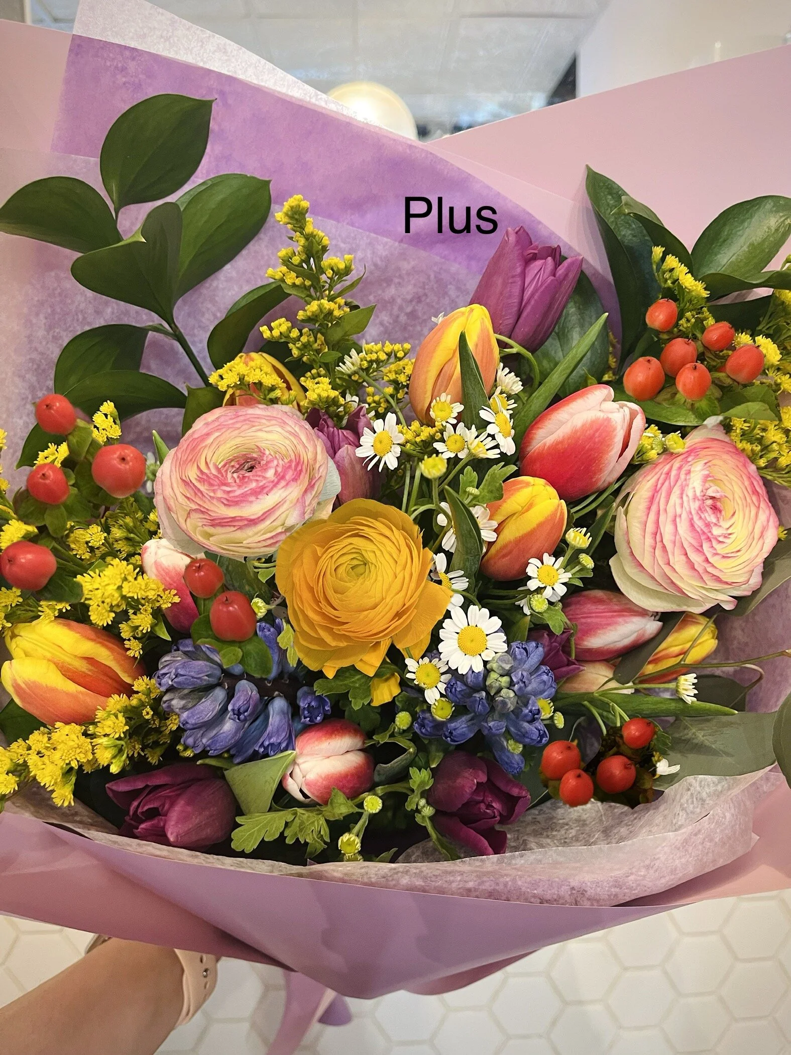 E543B206-FF60-4132-A63E-A86B48E7D632