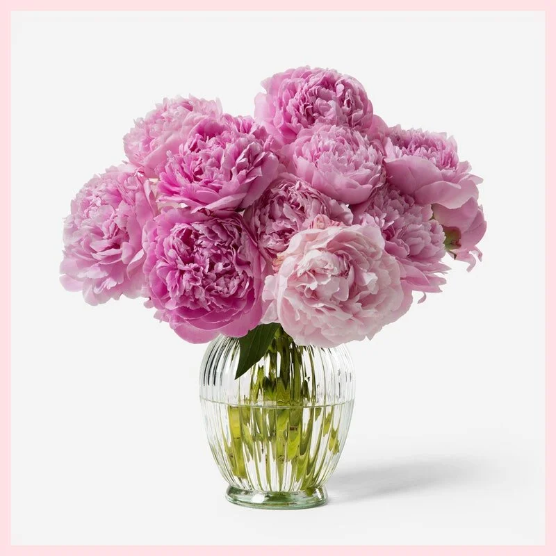 D91CE0B9-485F-4C97-9AD6-9CDA2C27F2C7