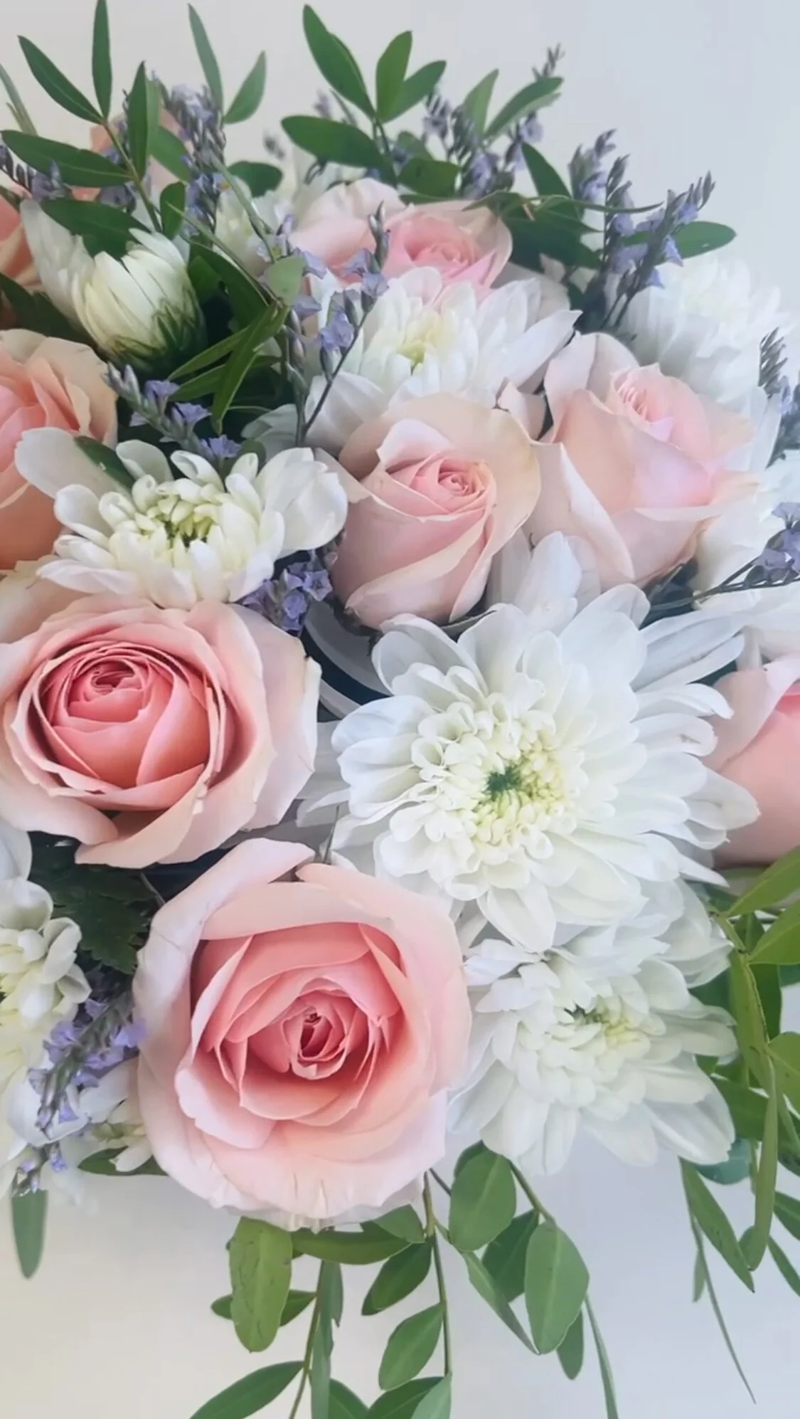 9820B149-DC6A-48D4-A951-0E80AA82AD02