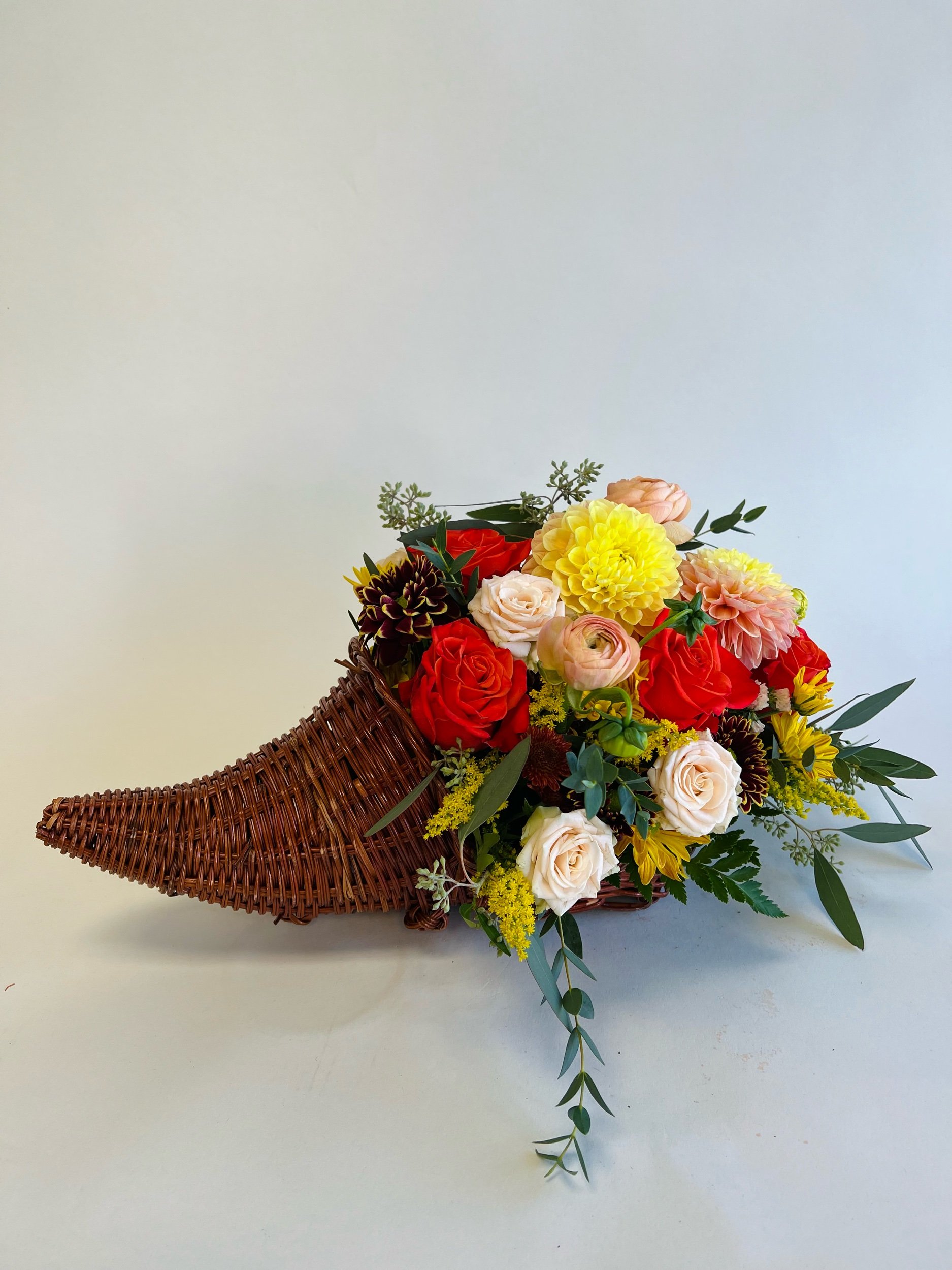 F16DC169-17ED-40FD-A31D-6FB65760ED1D.jpeg
