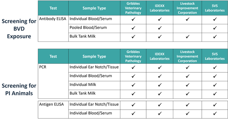 Test Information — BVD Free New Zealand