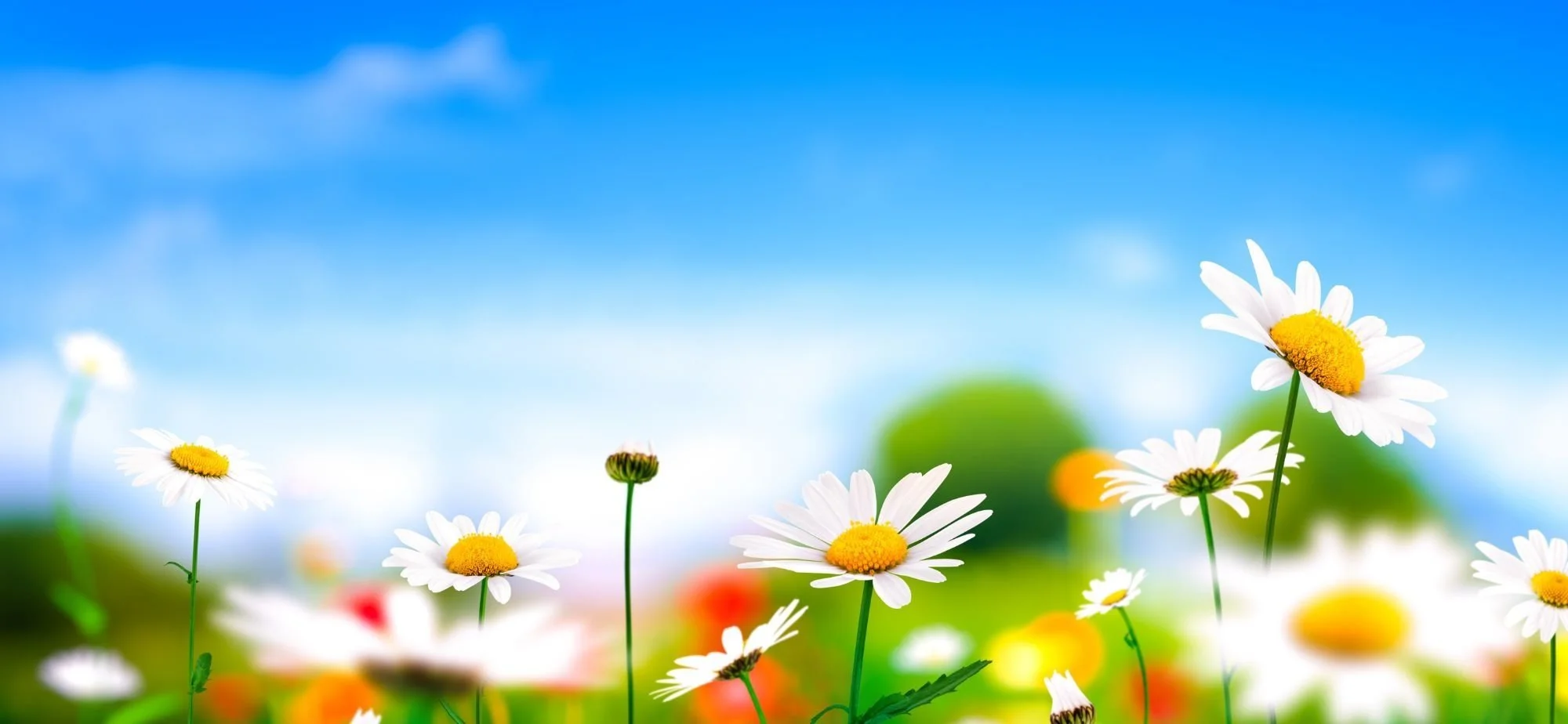 KIDS+SPRING+BANNER+24.jpg