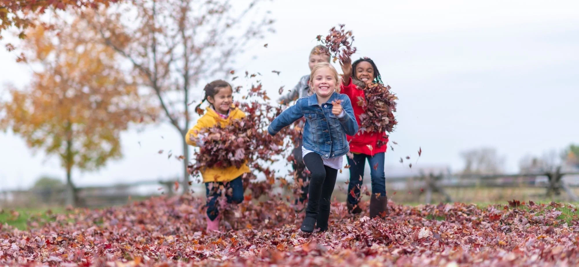 Wonder World: BABIES TO KINDERGARTEN