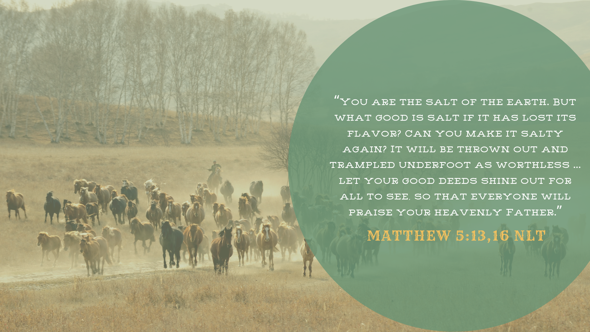 Matthew 513_16.png
