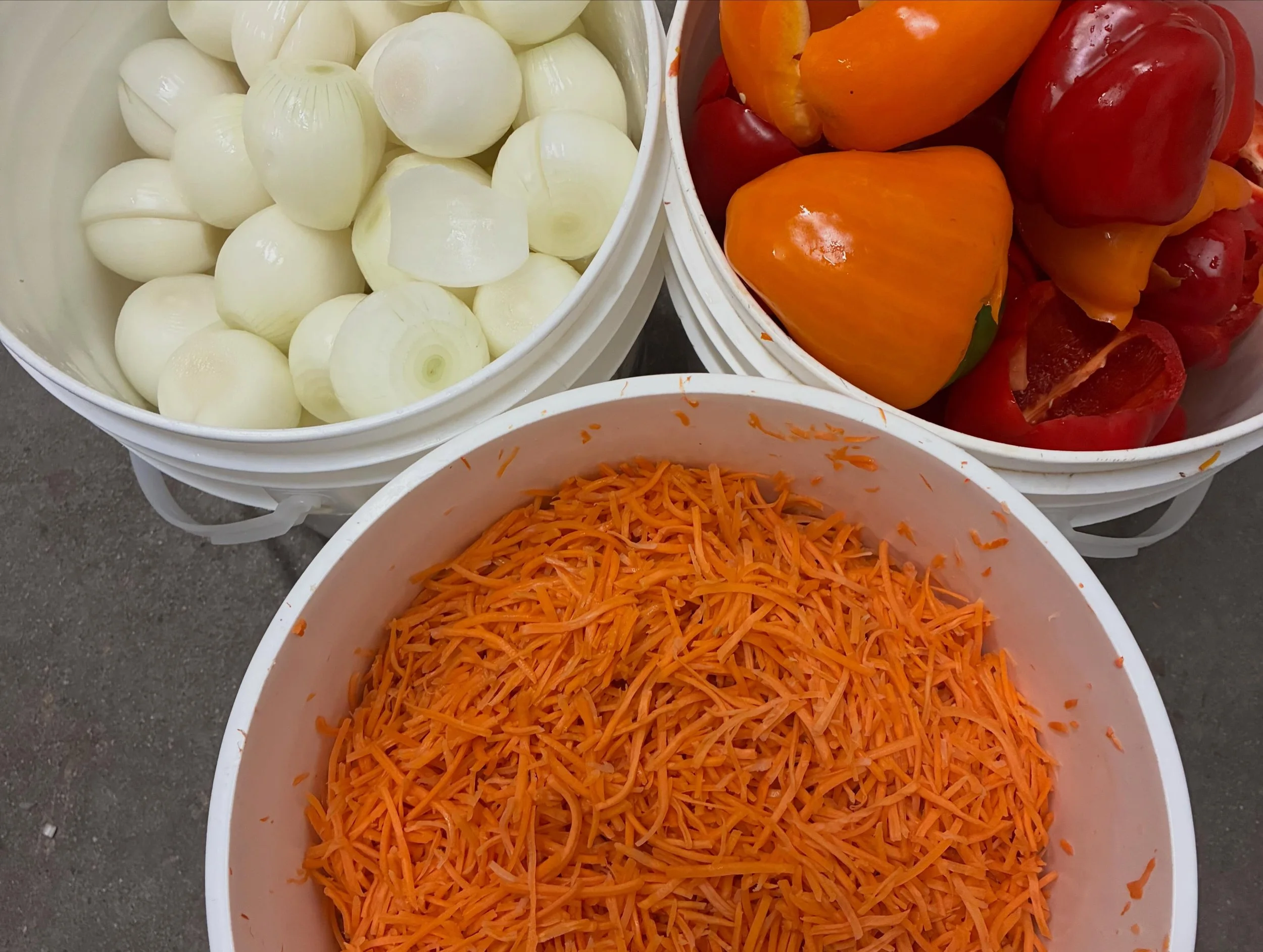 Gleaners veggies.jpg