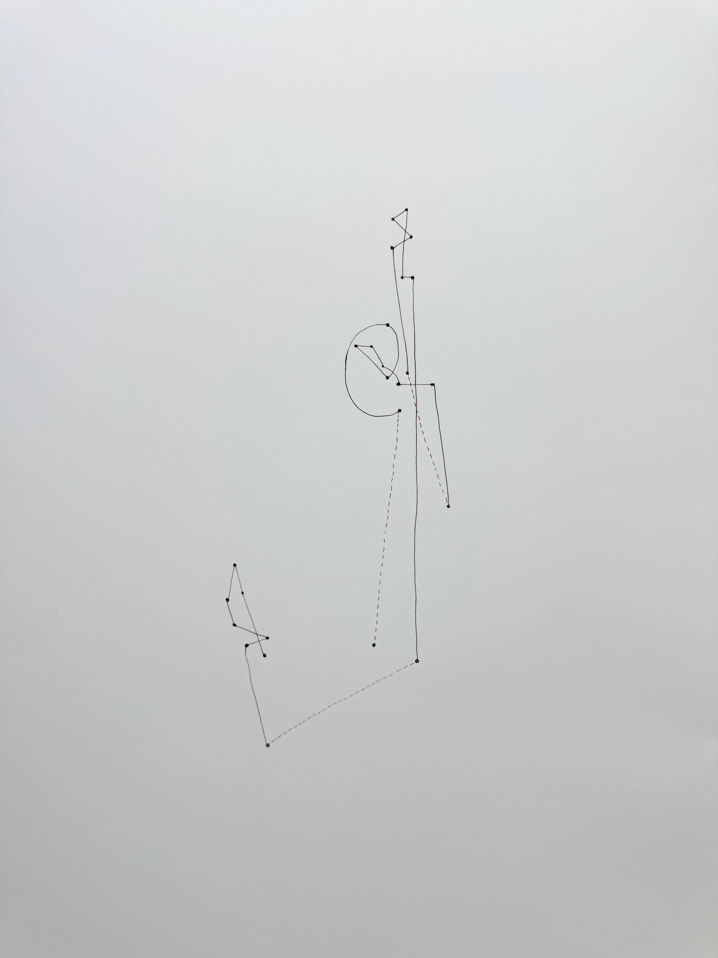 Trillium grandiflorum