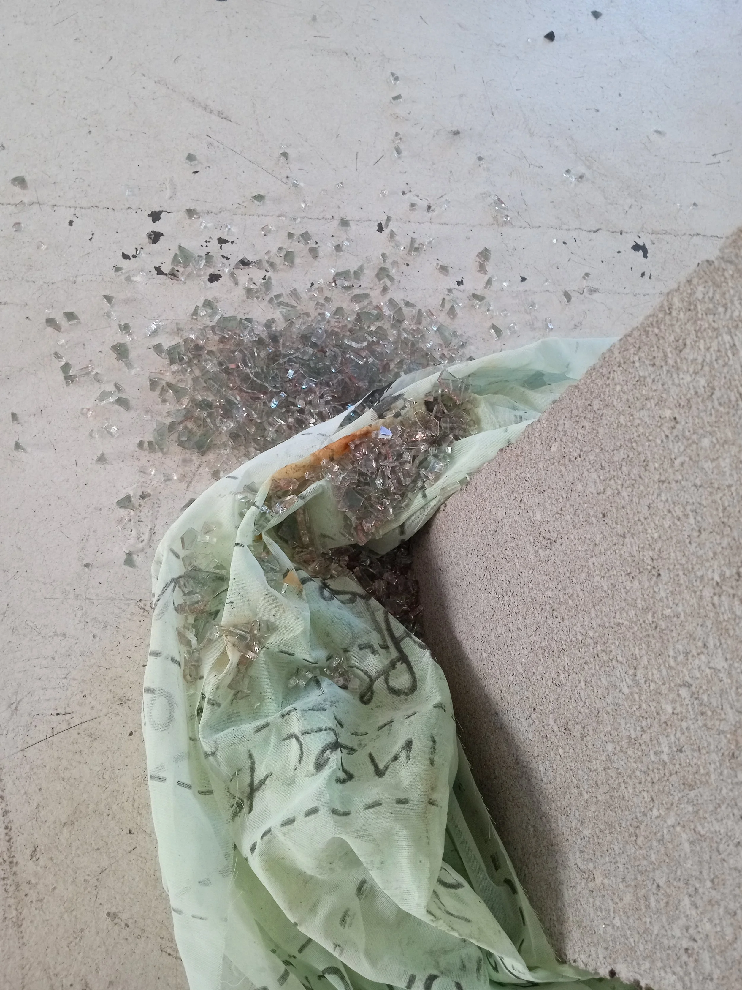 IMG_20221001_110534906 (1).jpg