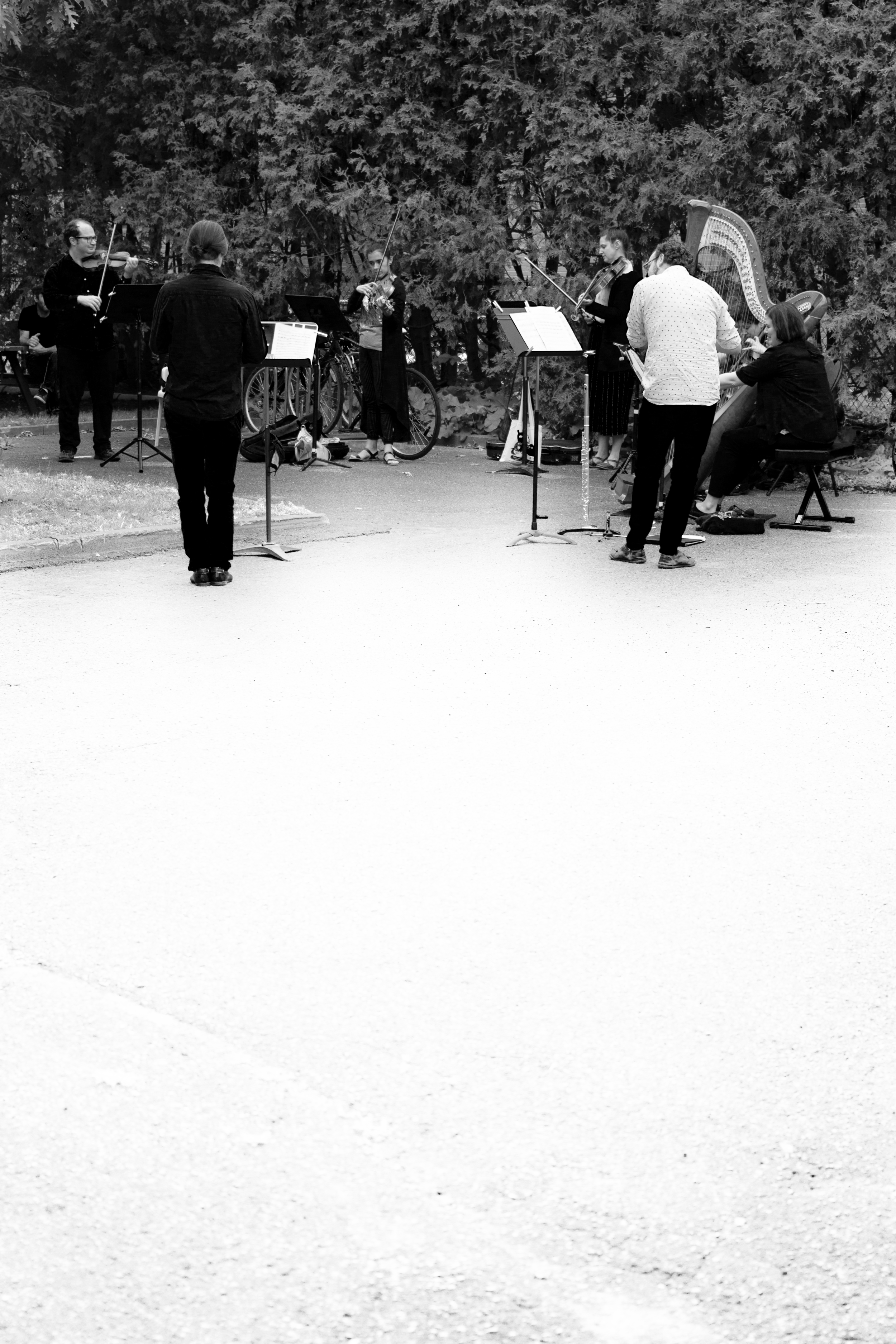 Perform Pavement.png