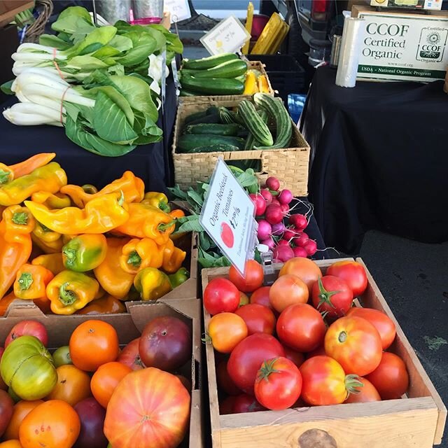 Come grab last of summer and beginning of fall produce from our local farmers at the market this Friday starting at 4pm! From tomatoes, peppers and cucs to the first of delicatas, brassicas, and red kuri squash&rsquo;s- we got it all! Live music from