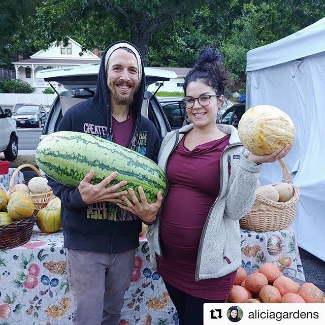 It&rsquo;s melon season! Come snag some amazing watermelon, ha&rsquo;ogens, and many more varieties from @aliciagardens TONIGHT at the market, 4pm til dusk in downtown Occidental. See you later!

#Repost @aliciagardens with @get_repost
・・・
##AliciaGa