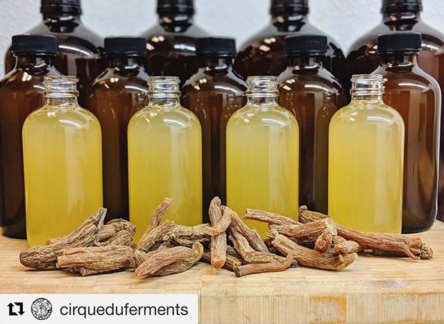 So pumped to have @cirqueduferments debuting at our market tomorrow! Come get your kombucha, jun, and all things fermented along with your fresh local veggies, snacks, and crafts. Bohemian Ukeleles will also be performing live! See you tomorrow in do