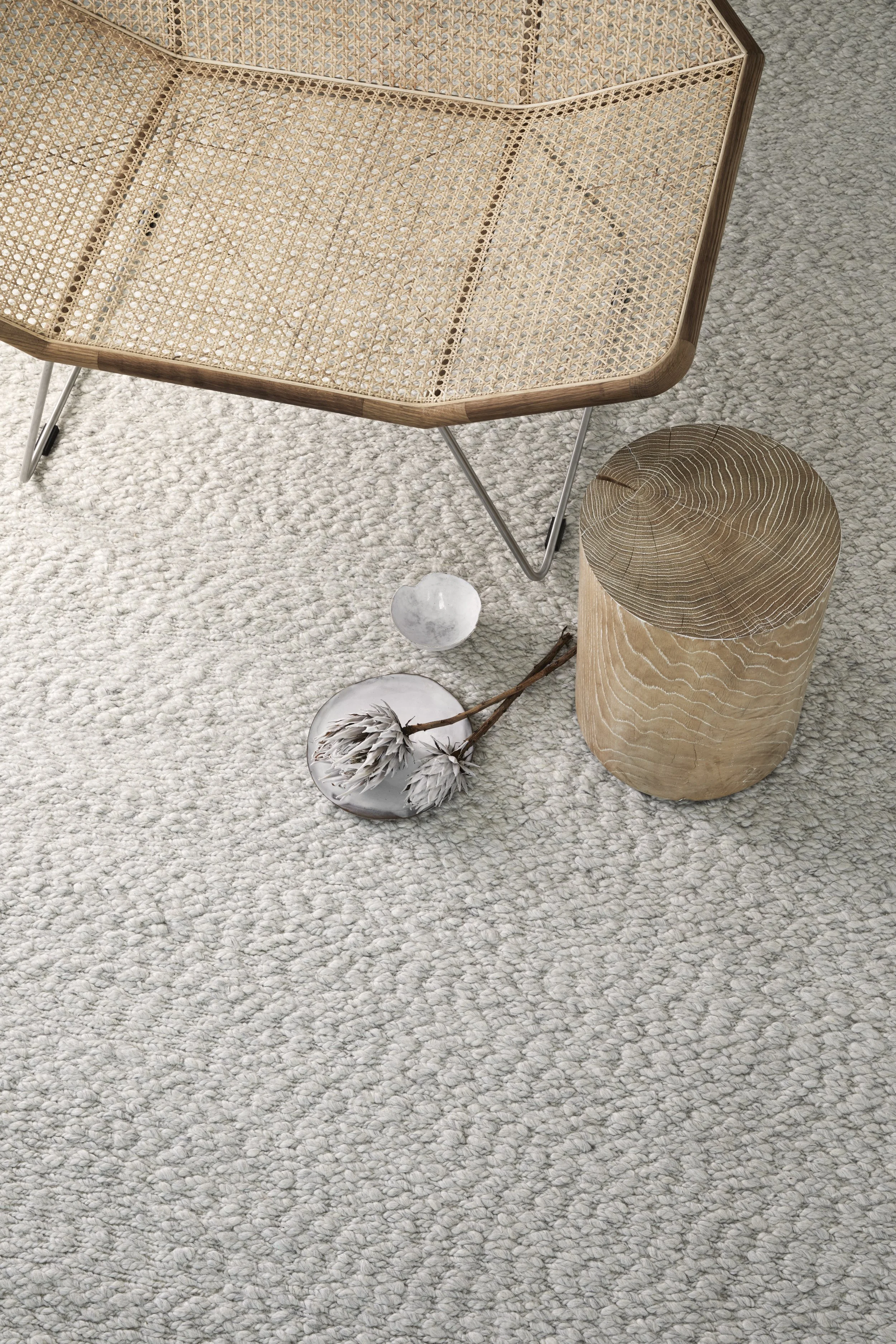 Armadillo_Andes_Parchment05.jpg