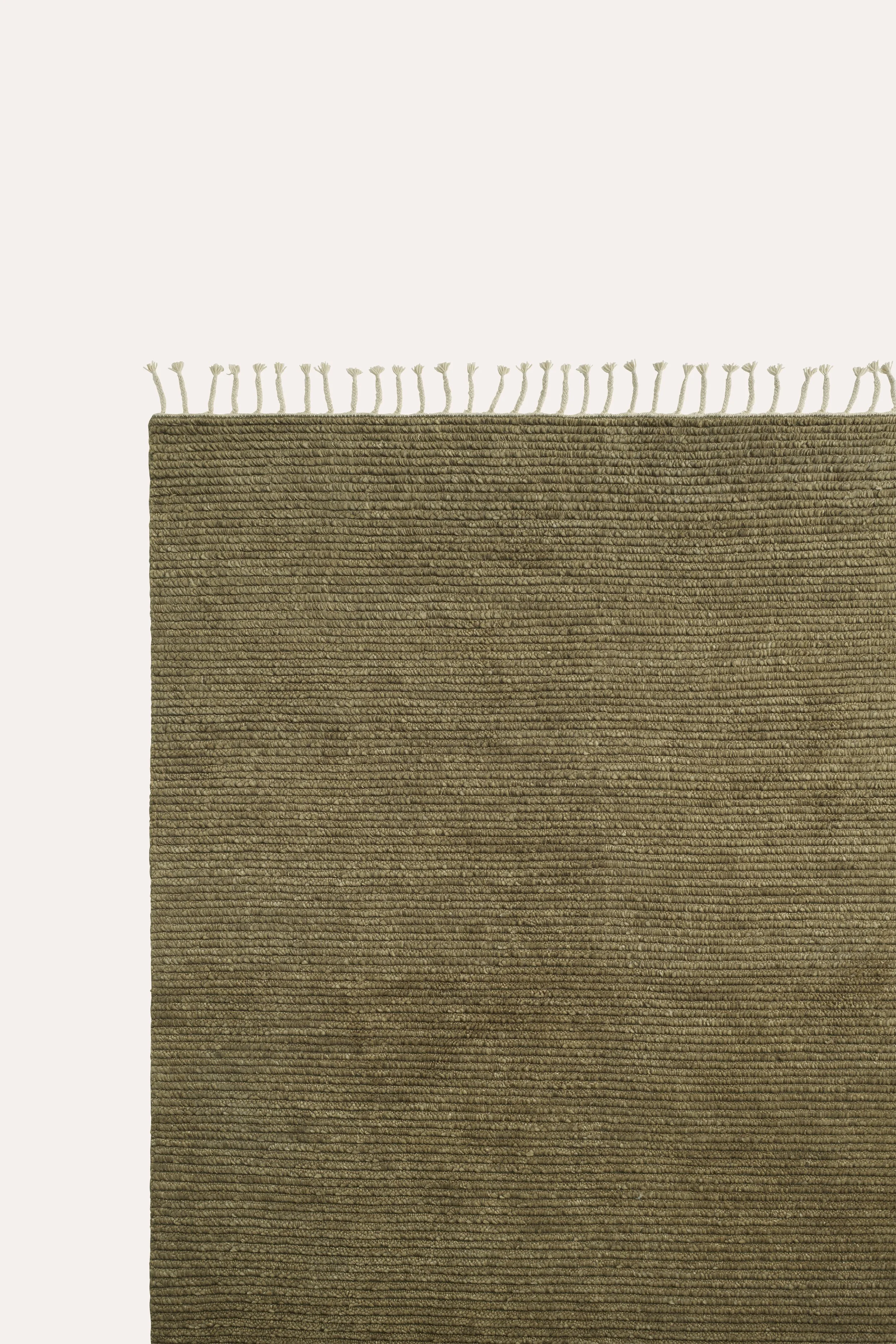 Armadillo_Malawi_Olive_Corner_364996.jpg