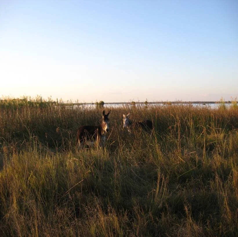 20090909_botswana-mission-trip-1.jpg