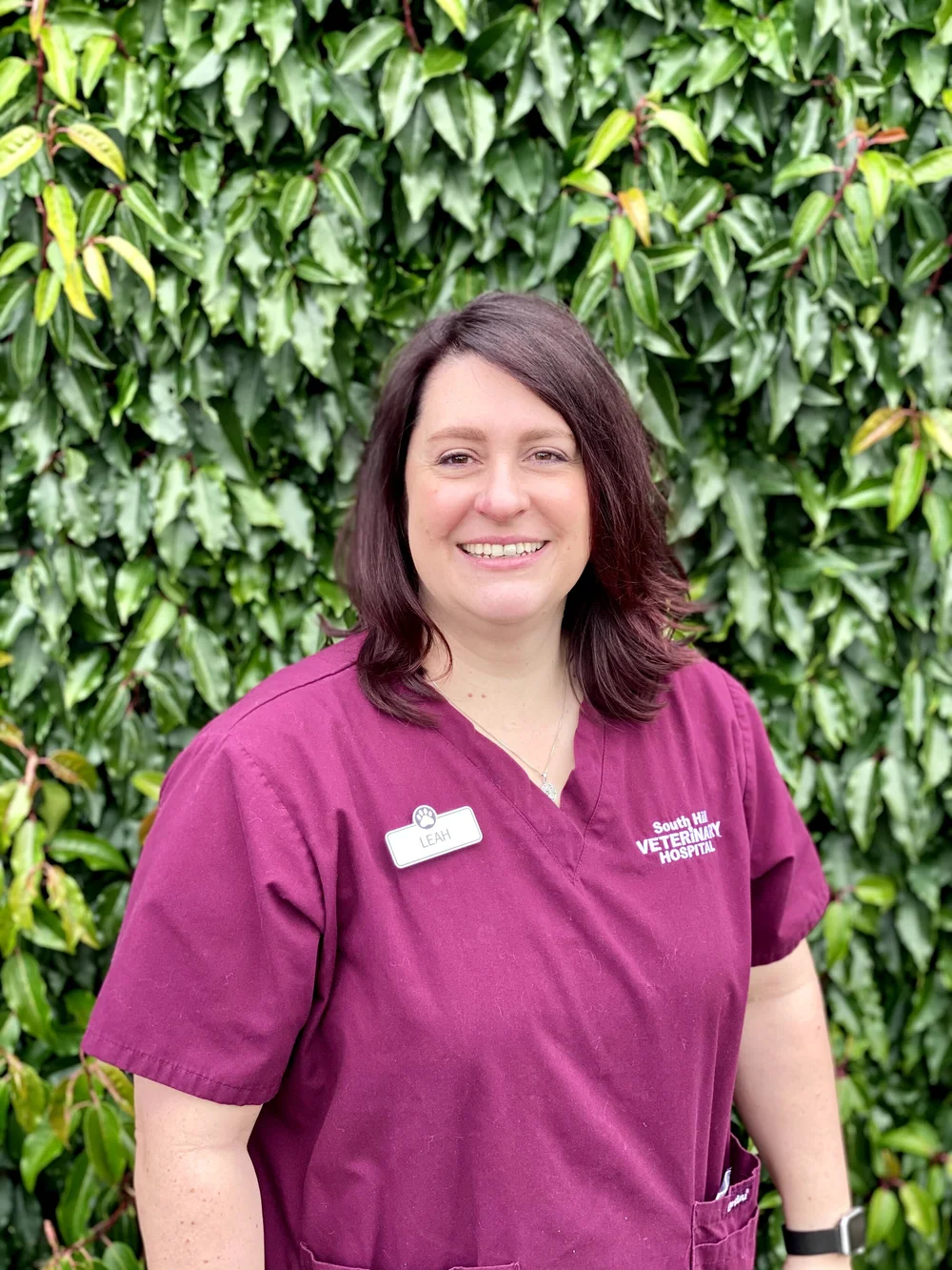 Meet Our Team — South Hill Veterinary Hospital