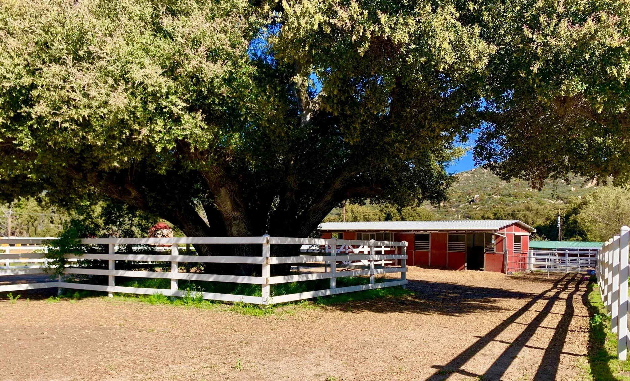 Canyon Oaks Ranch