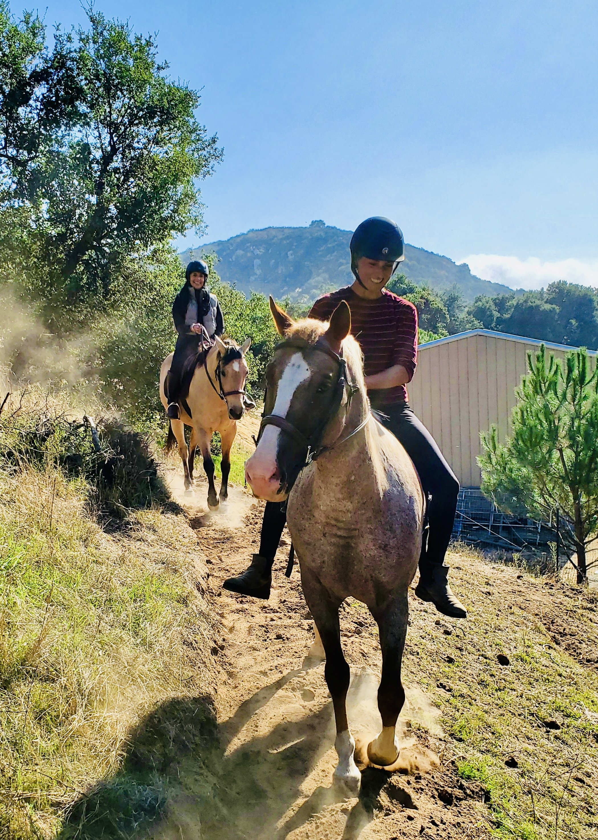 Trail Ride Lesson - 90 minutes