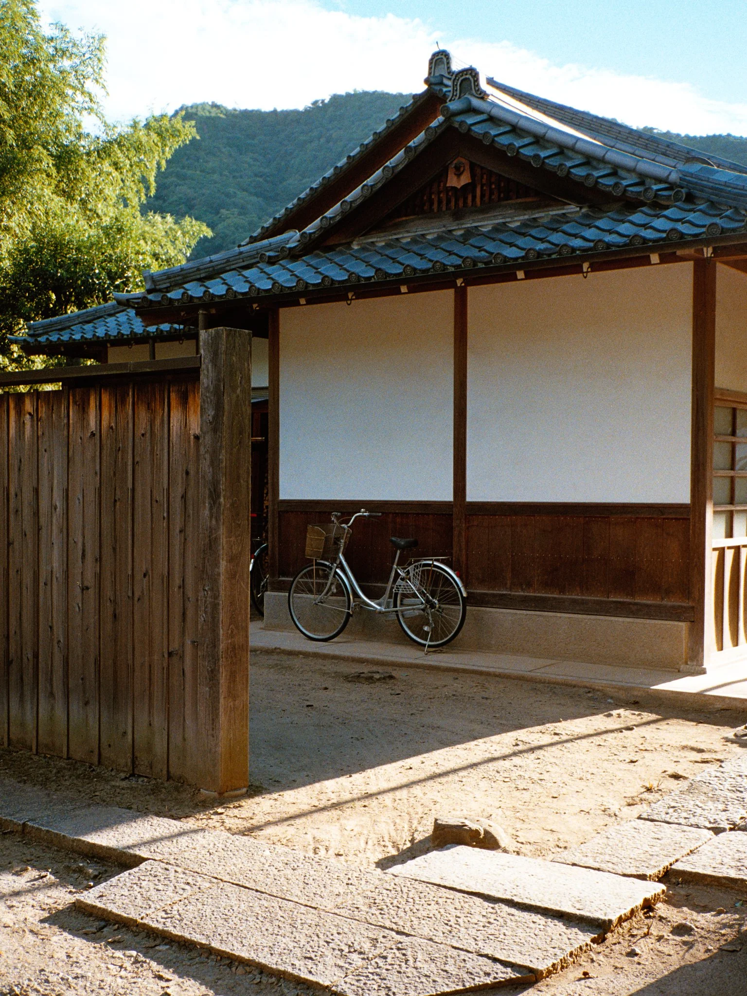 CFS-FUJI400_T2A-00016.CR3-Edit.JPG