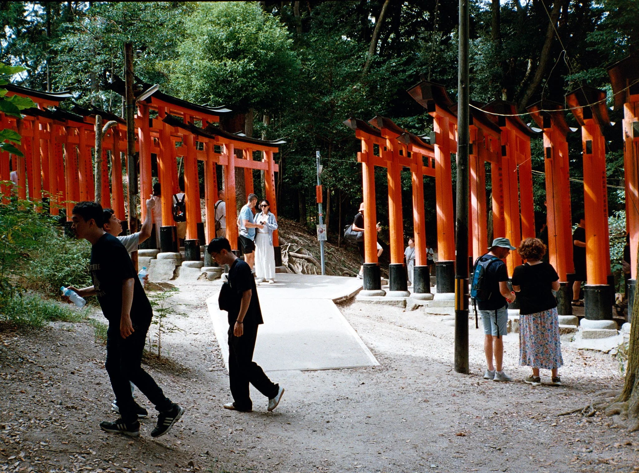 CFS-FUJI400_T2A-00003.CR3-Edit.JPG