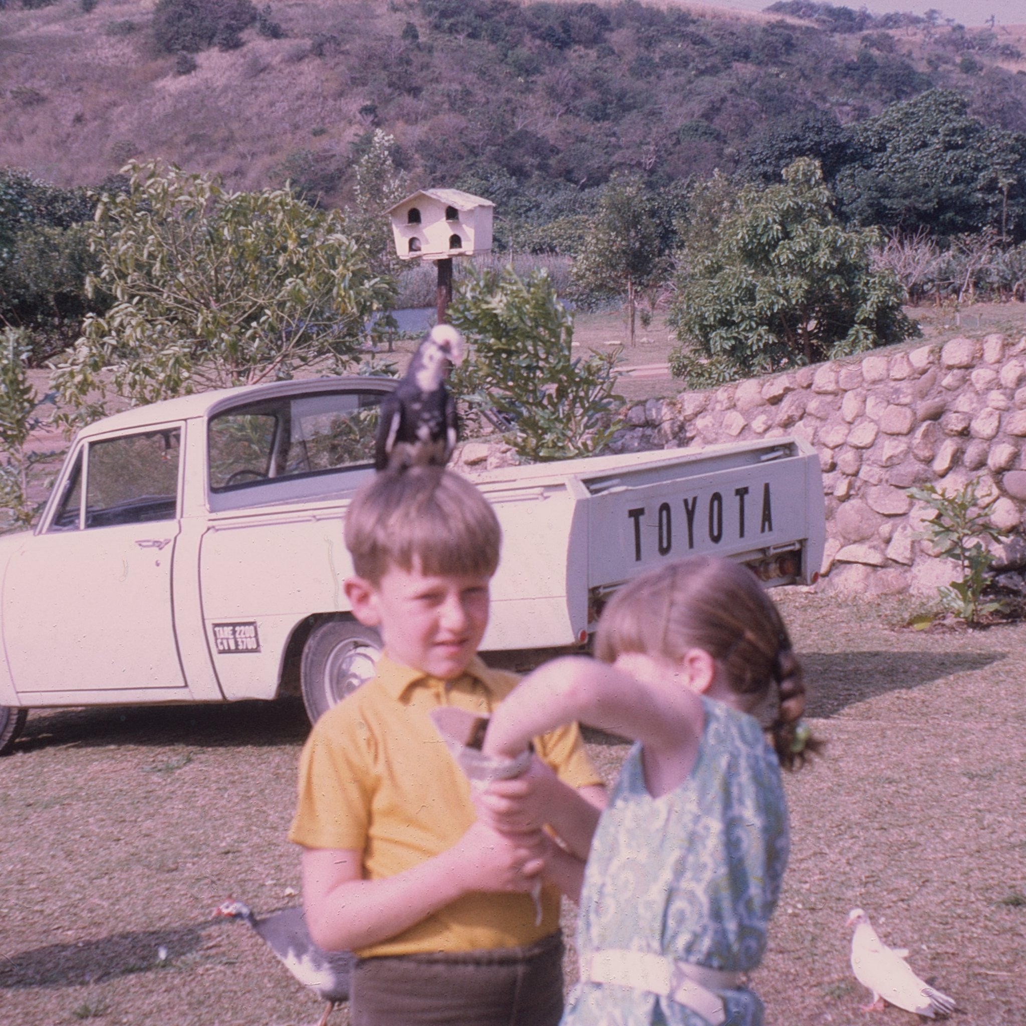 Wettonfamily_-202-3.jpg