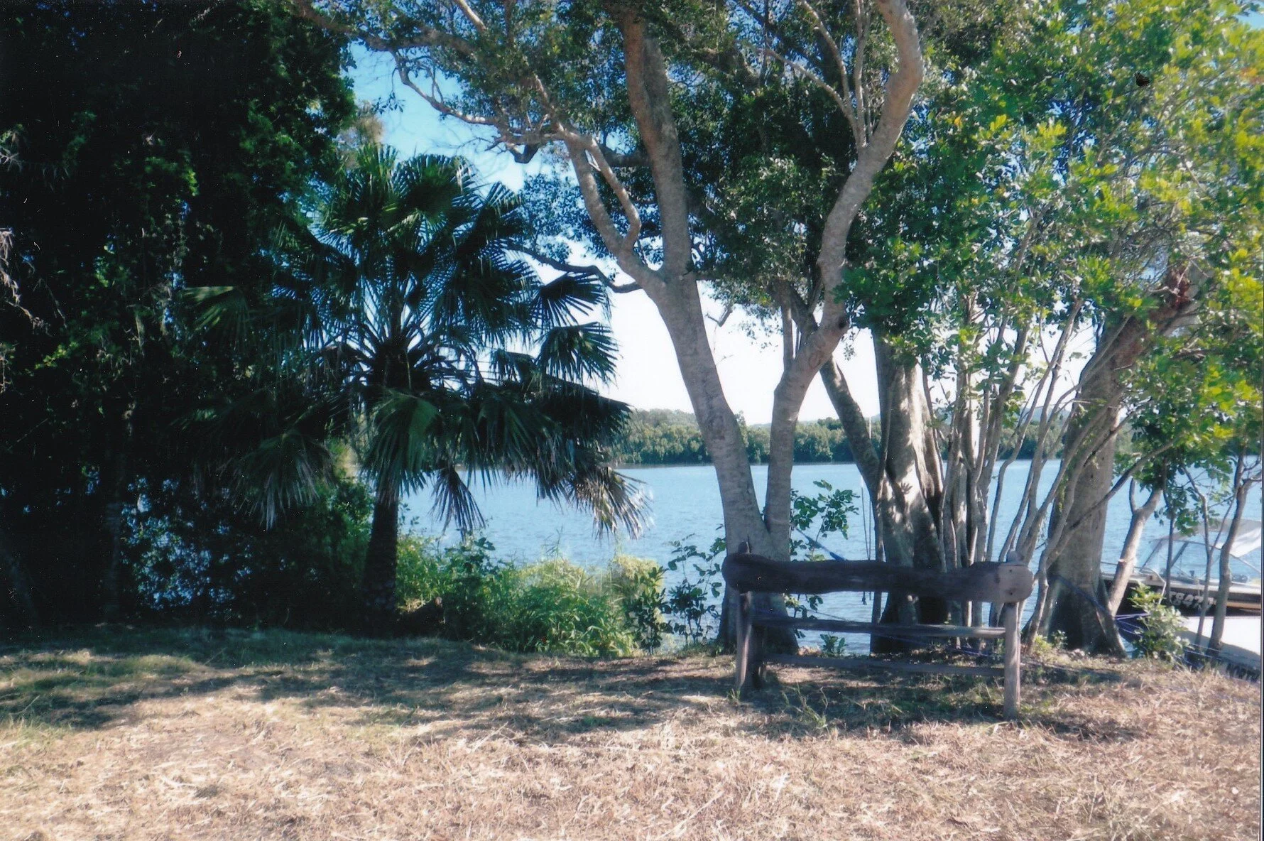 goat island 7.jpeg