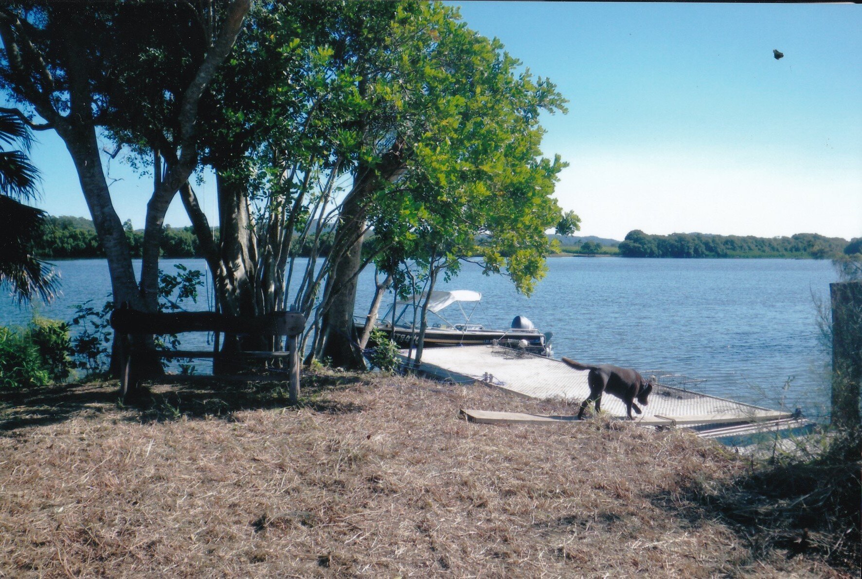 goat island 2.jpeg