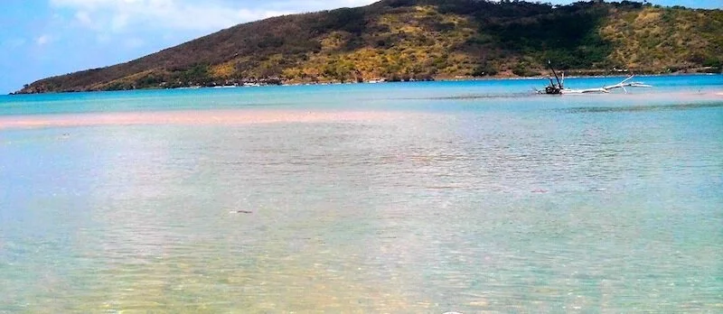 IMG_0008 (2)red30.jpeg