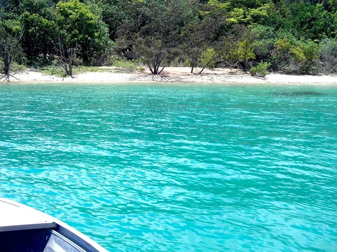 IMG_0011red30 2.jpeg