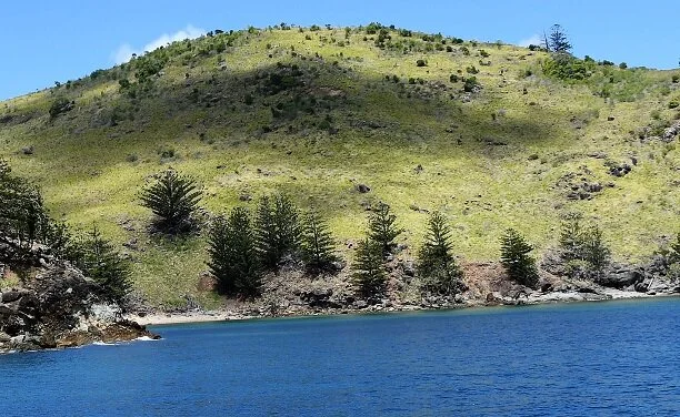 DSC_0205 (2)red30.jpeg