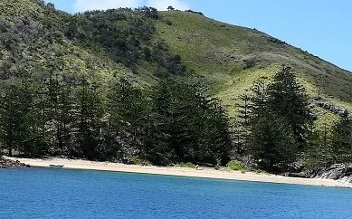 DSC_0208 (2)red30.jpeg