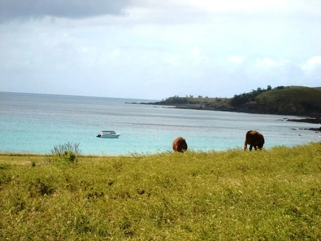 Marble Is  (83).jpeg