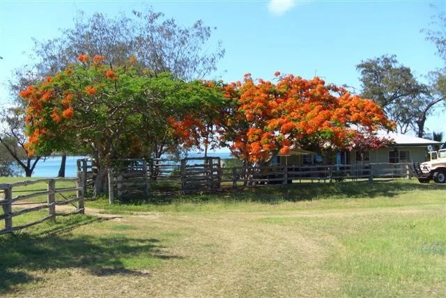 Marble Is  (231).jpeg