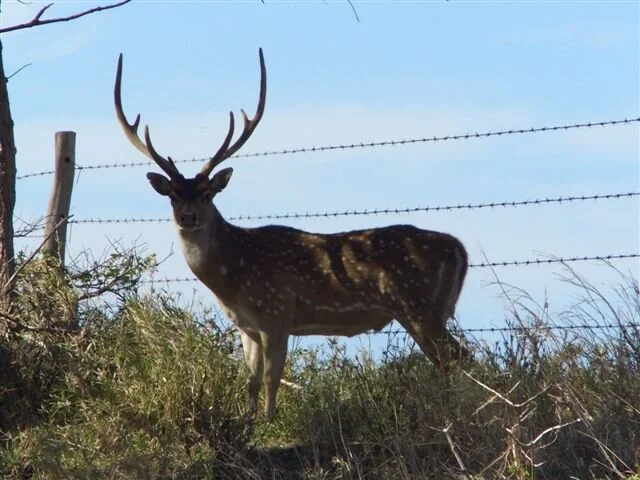 Marble Is  (227).jpeg