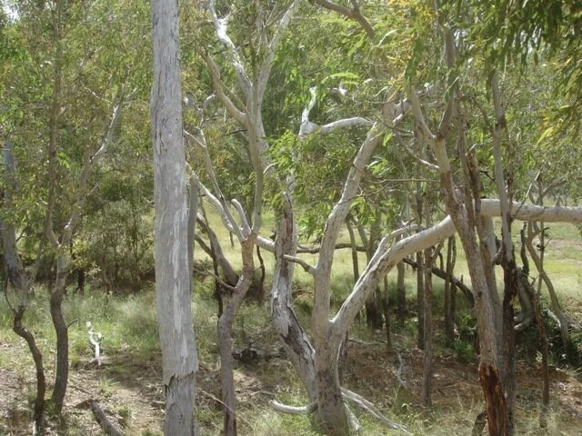 Marble Is  (140).jpeg