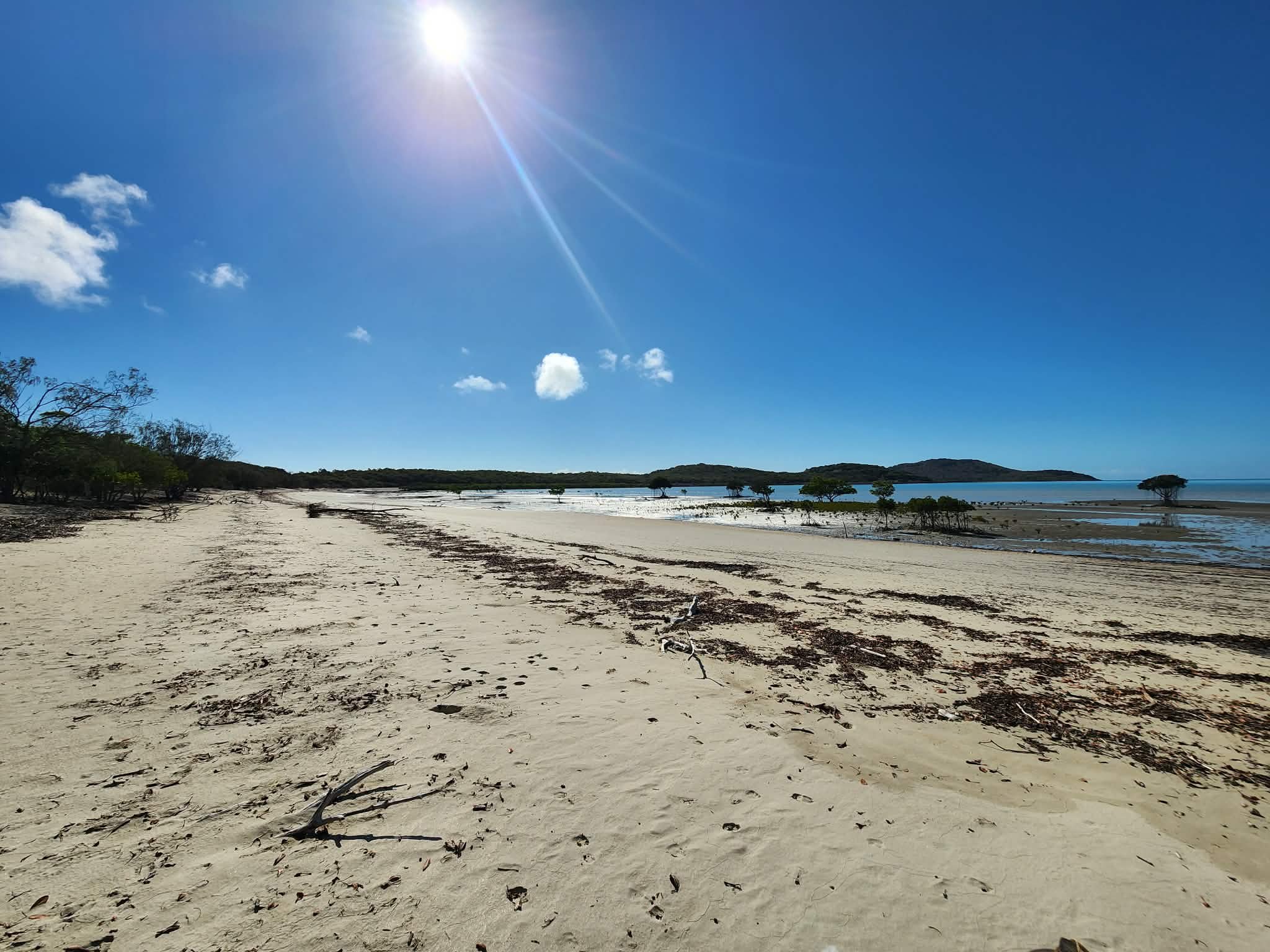 Quail Island