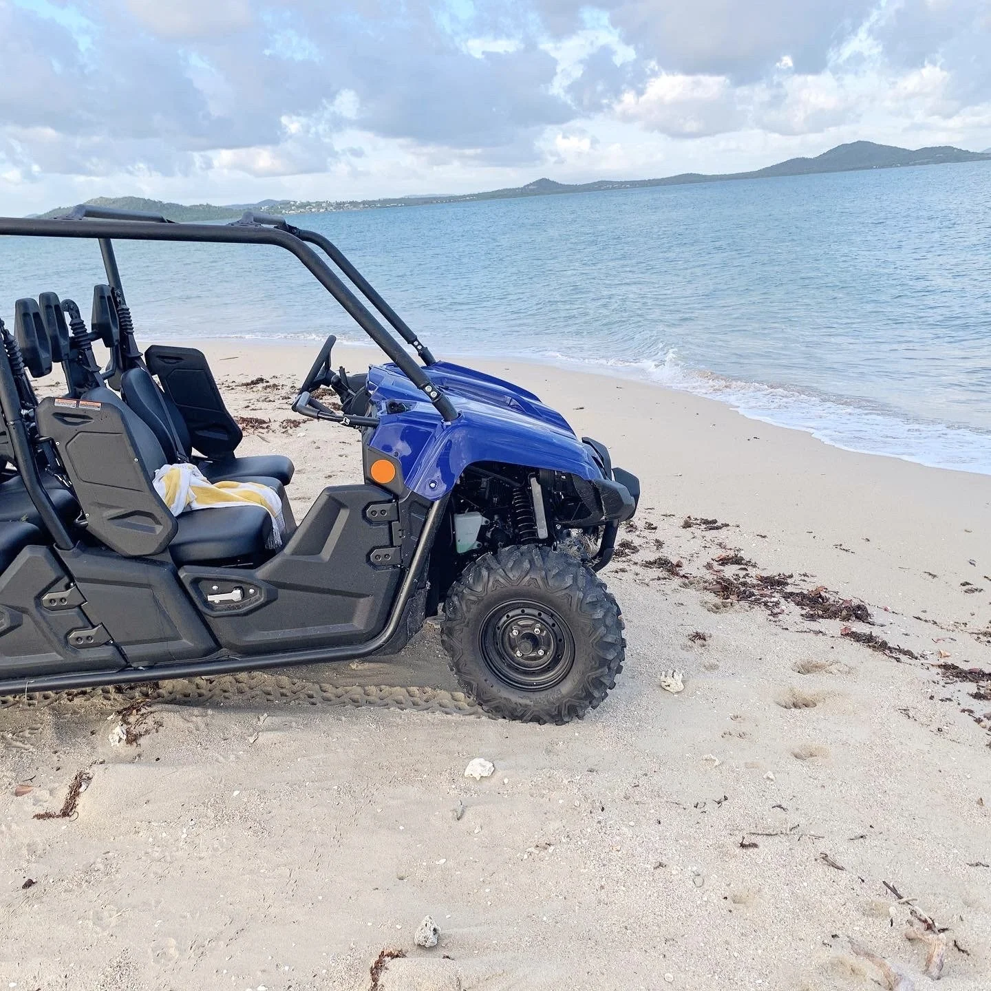 Island Life .jpg