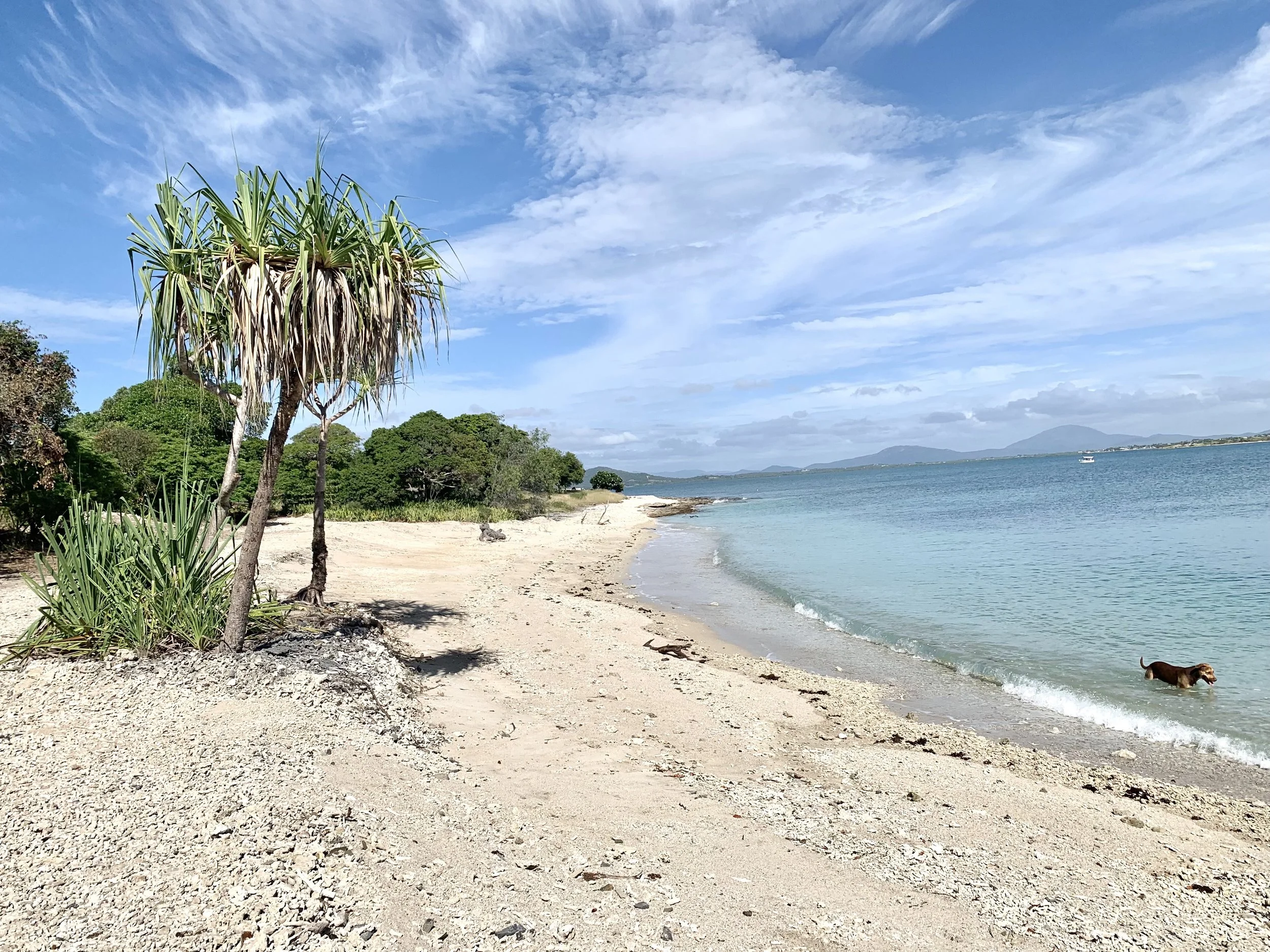 Lodge Beach copy.jpg